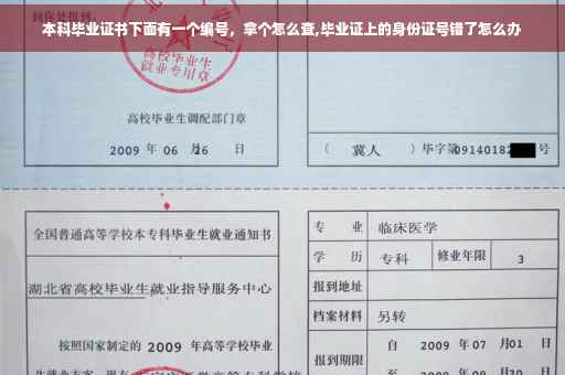本科毕业证书下面有一个编号，拿个怎么查,毕业证上的身份证号错了怎么办