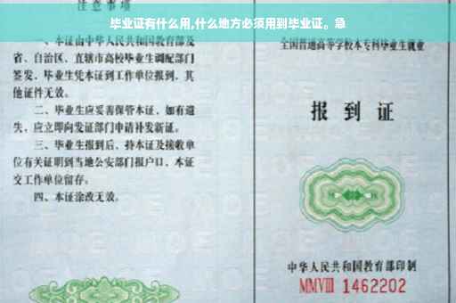 毕业证有什么用,什么地方必须用到毕业证。急