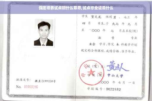 保底培养试点班什么意思,试点毕业证是什么