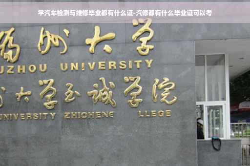学汽车检测与维修毕业都有什么证-汽修都有什么毕业证可以考