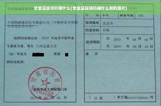毕业证应该扫描什么(毕业证应该扫描什么样的图片)