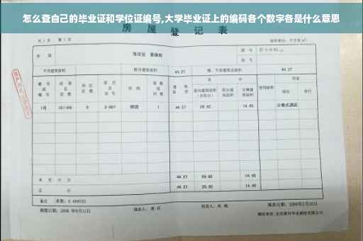 怎么查自己的毕业证和学位证编号,大学毕业证上的编码各个数字各是什么意思