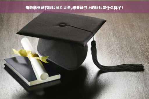 奇葩毕业证书照片图片大全,毕业证书上的照片是什么样子?