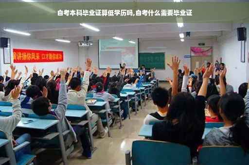 自考本科毕业证算低学历吗,自考什么需要毕业证