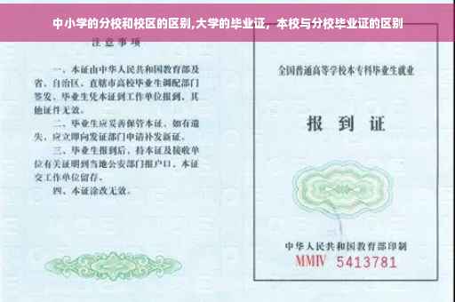 中小学的分校和校区的区别,大学的毕业证，本校与分校毕业证的区别