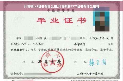 计算机cct证书有什么用,计算机的CCT证书有什么用啊