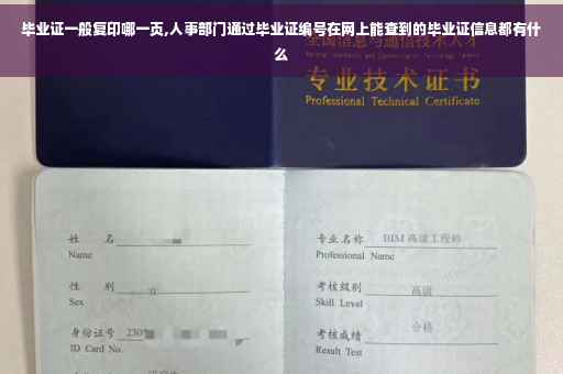 毕业证一般复印哪一页,人事部门通过毕业证编号在网上能查到的毕业证信息都有什么