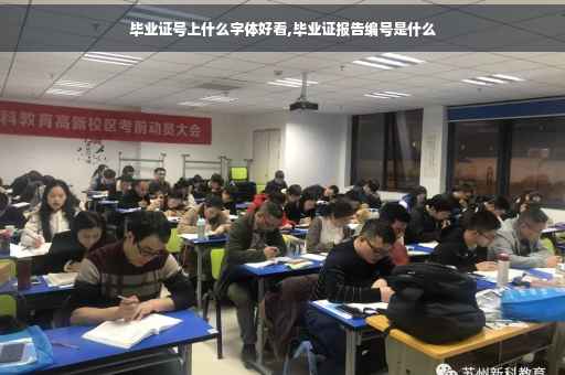 毕业证号上什么字体好看,毕业证报告编号是什么
