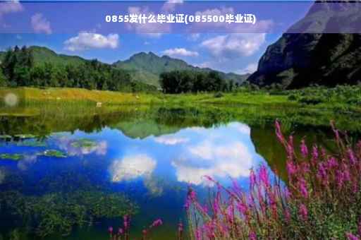 0855发什么毕业证(085500毕业证)