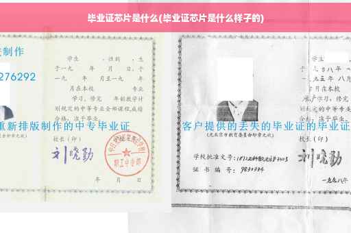 毕业证芯片是什么(毕业证芯片是什么样子的)