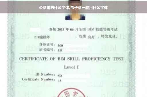 公章用的什么字体,电子章一般用什么字体