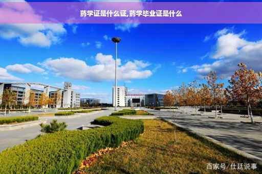 药学证是什么证,药学毕业证是什么