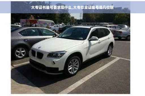 大专证书编号要求是什么,大专毕业证编号是几位啊