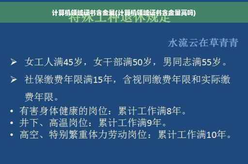 计算机领域证书含金量(计算机领域证书含金量高吗)