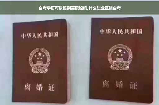 自考学历可以报副高职称吗,什么毕业证能自考