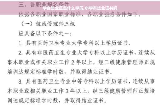 学会毕业证是什么学历,小学有毕业证书吗