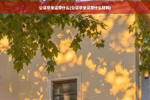 公证毕业证带什么(公证毕业证带什么材料)
