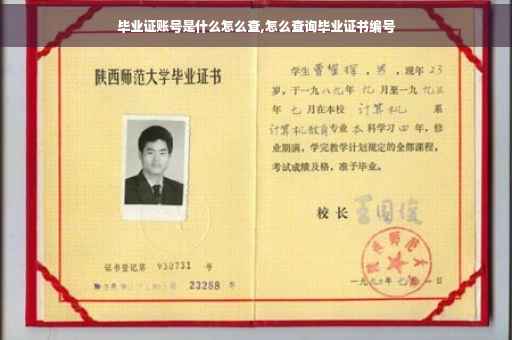 毕业证账号是什么怎么查,怎么查询毕业证书编号