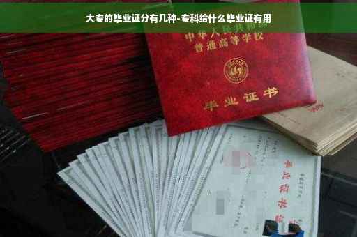 大专的毕业证分有几种-专科给什么毕业证有用