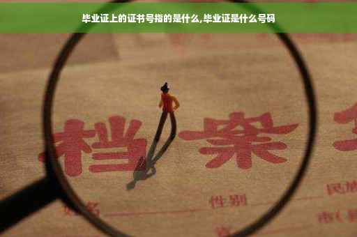 毕业证上的证书号指的是什么,毕业证是什么号码