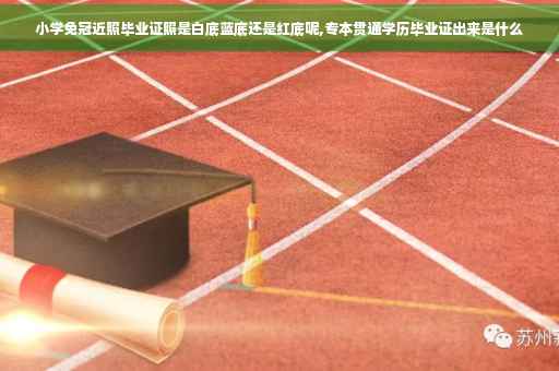 小学免冠近照毕业证照是白底蓝底还是红底呢,专本贯通学历毕业证出来是什么
