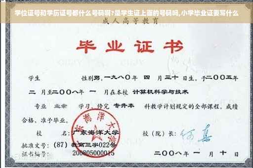 学位证号和学历证号都什么号码啊?是学生证上面的号码吗,小学毕业证要写什么