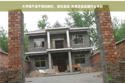 大学是不是不挂科就行，给毕业证-光有毕业证算什么学历
