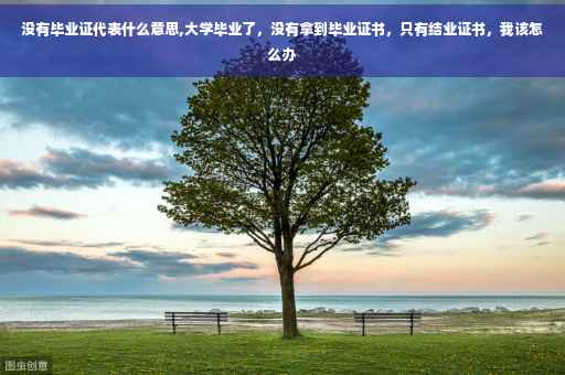 没有毕业证代表什么意思,大学毕业了，没有拿到毕业证书，只有结业证书，我该怎么办