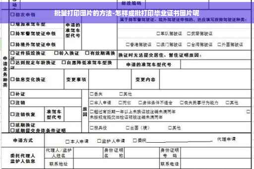 批量打印图片的方法-怎样成批打印毕业证书图片呢