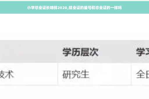 小学毕业证长啥样2020,结业证的编号和毕业证的一样吗