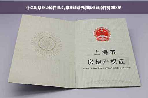什么叫毕业证原件照片,毕业证明书和毕业证原件有啥区别