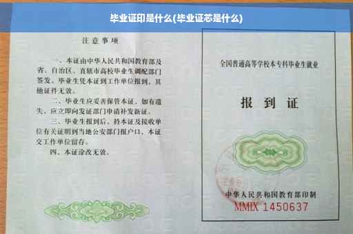 毕业证印是什么(毕业证芯是什么)