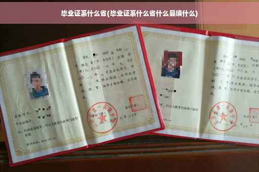 毕业证系什么省(毕业证系什么省什么县填什么)