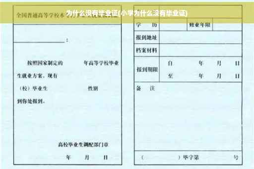 为什么没有毕业证(小学为什么没有毕业证)