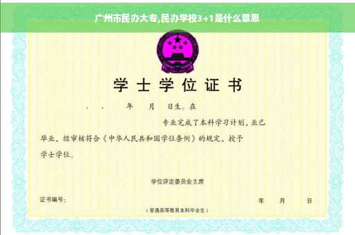 广州市民办大专,民办学校3+1是什么意思
