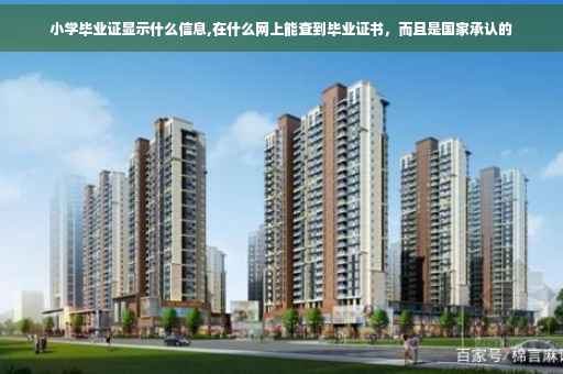 小学毕业证显示什么信息,在什么网上能查到毕业证书，而且是国家承认的