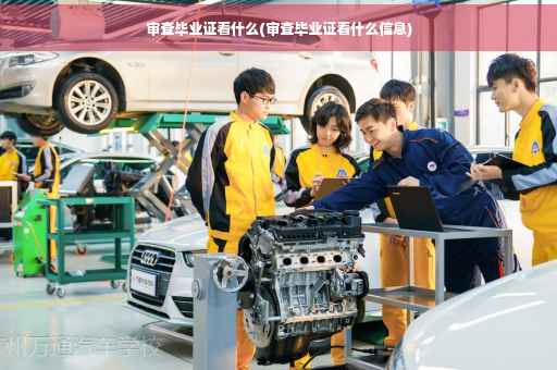 审查毕业证看什么(审查毕业证看什么信息)