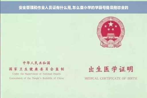 安全管理和作业人员证有什么用,怎么查小学的学籍号我是刚毕业的