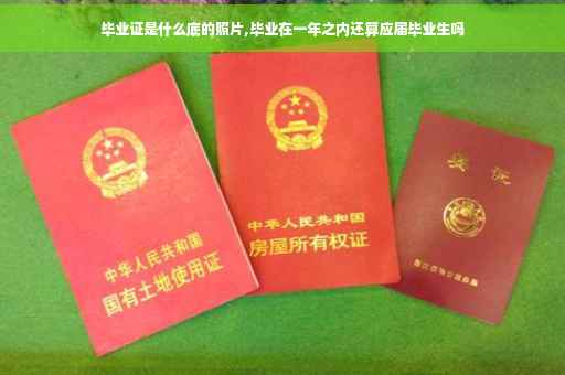 毕业证是什么底的照片,毕业在一年之内还算应届毕业生吗