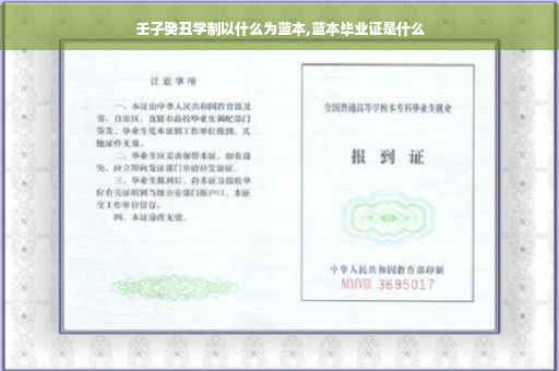 壬子癸丑学制以什么为蓝本,蓝本毕业证是什么