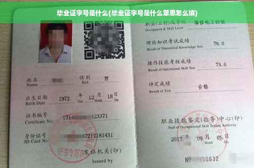 毕业证字号是什么(毕业证字号是什么意思怎么填)