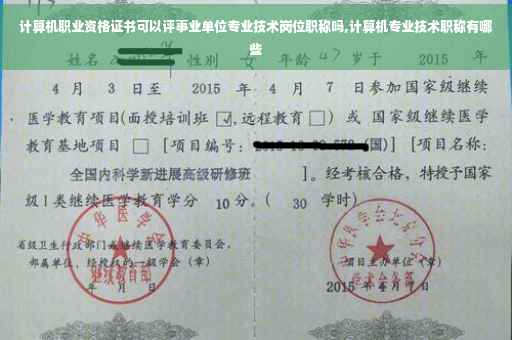 计算机职业资格证书可以评事业单位专业技术岗位职称吗,计算机专业技术职称有哪些