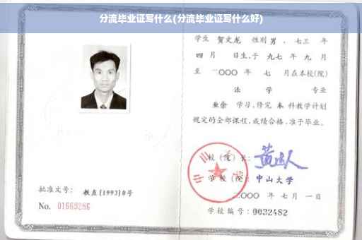 分流毕业证写什么(分流毕业证写什么好)