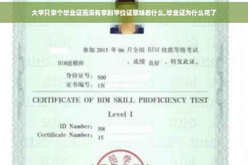 大学只拿个毕业证而没有拿到学位证意味着什么,毕业证为什么花了