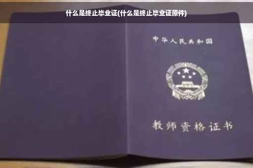 什么是终止毕业证(什么是终止毕业证原件)