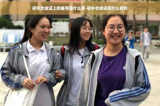 初中毕业证上的编号是什么啊-初中毕业证是什么样的