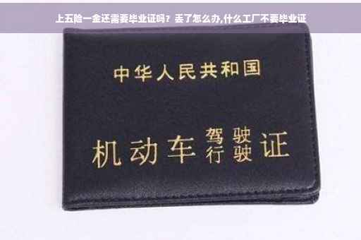 上五险一金还需要毕业证吗？丢了怎么办,什么工厂不要毕业证