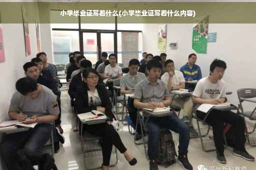 小学毕业证写着什么(小学毕业证写着什么内容)