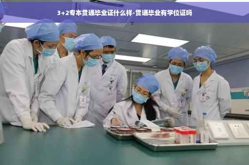 3+2专本贯通毕业证什么样-贯通毕业有学位证吗