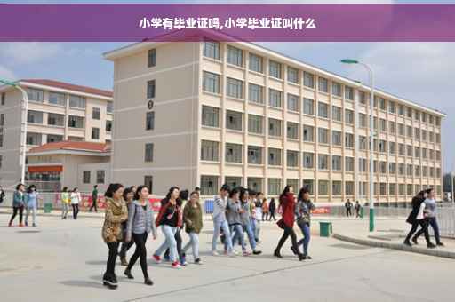 小学有毕业证吗,小学毕业证叫什么